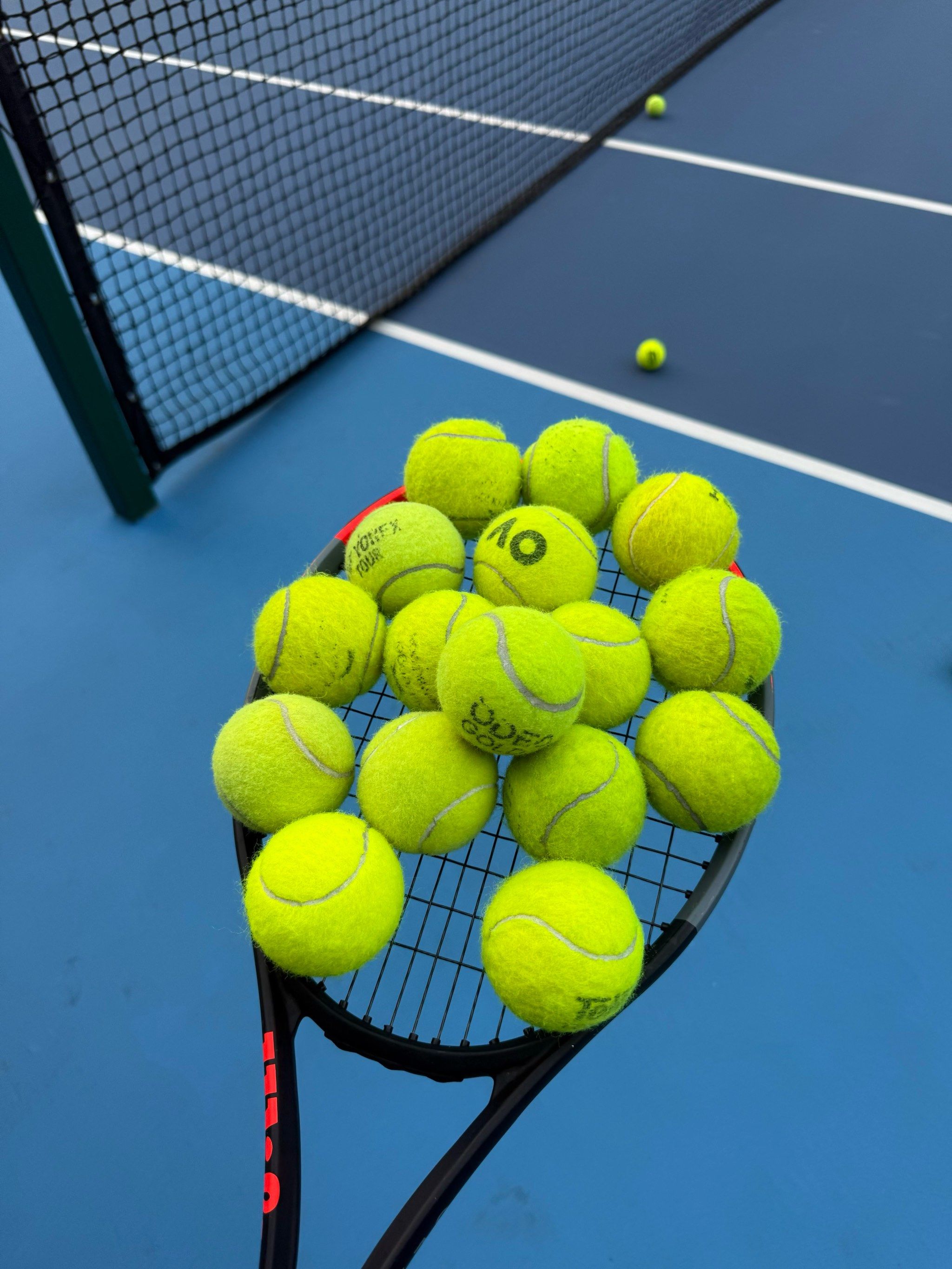 国女足在国 国女足在国